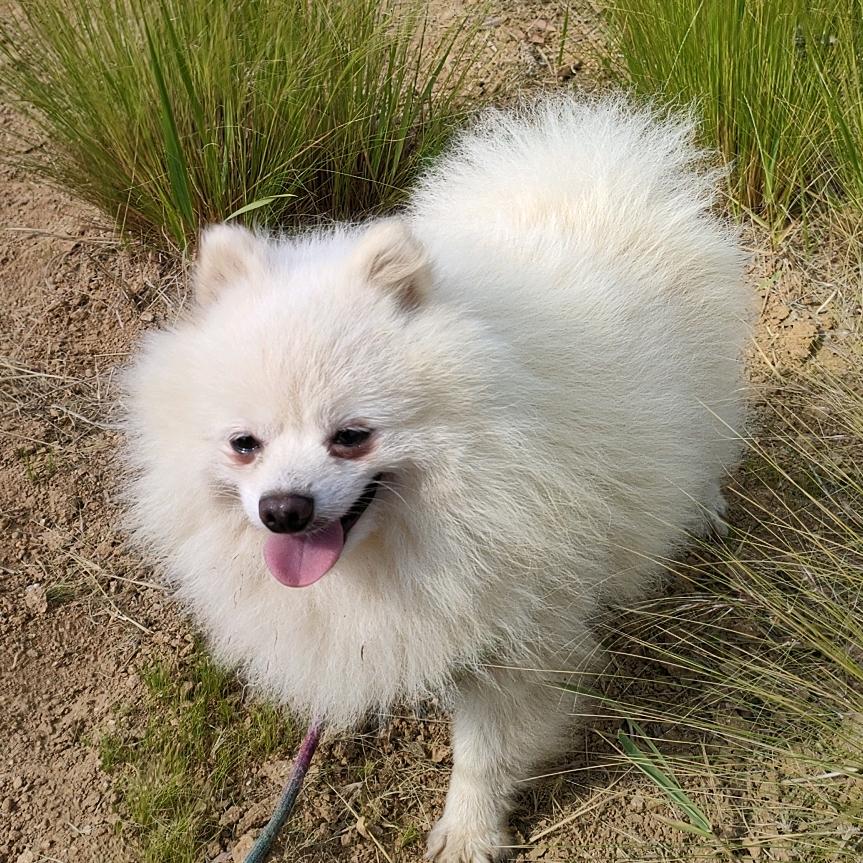 行运坎高繁殖基地