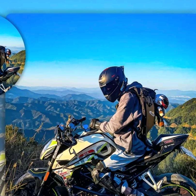 传人的梦--维金斯