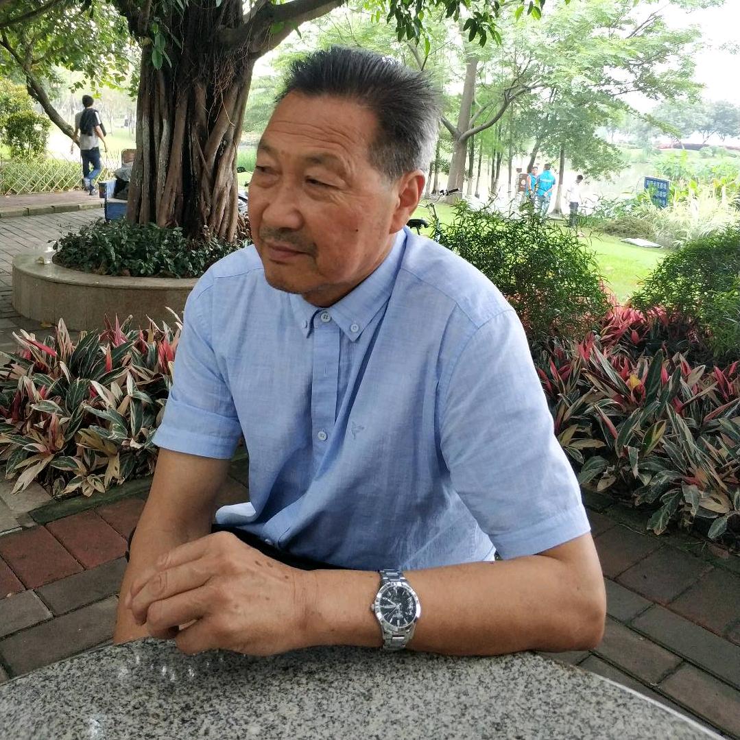 小丁猫