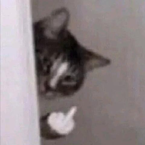 争渡。