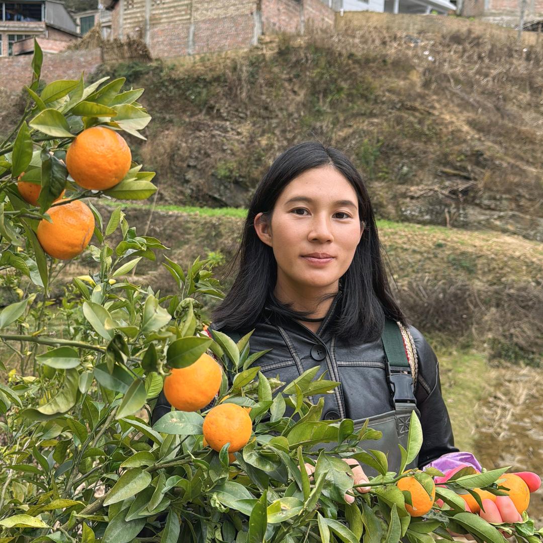 乡村阿桂