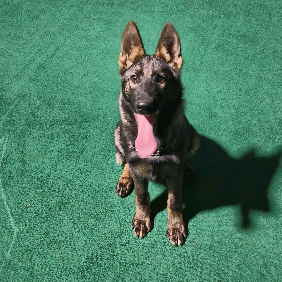 卡车司机🇨🇳小赵