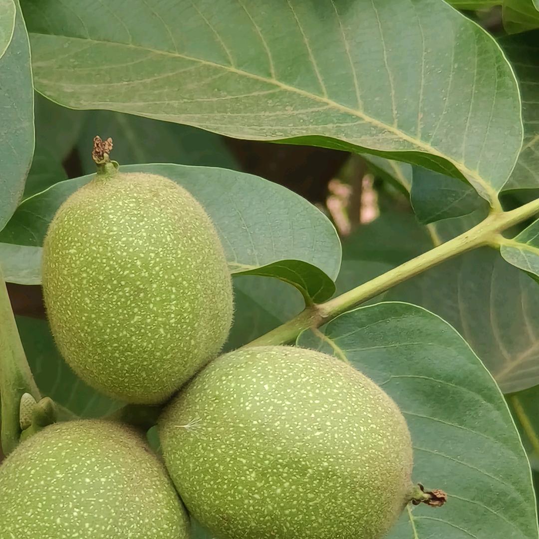 🕊꧔ꦿ᭄💞改变🕊꧔ꦿ᭄💞