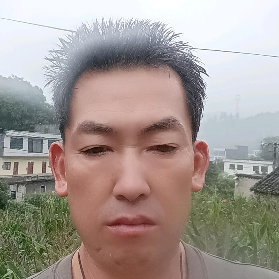 李子好吃，又不贵