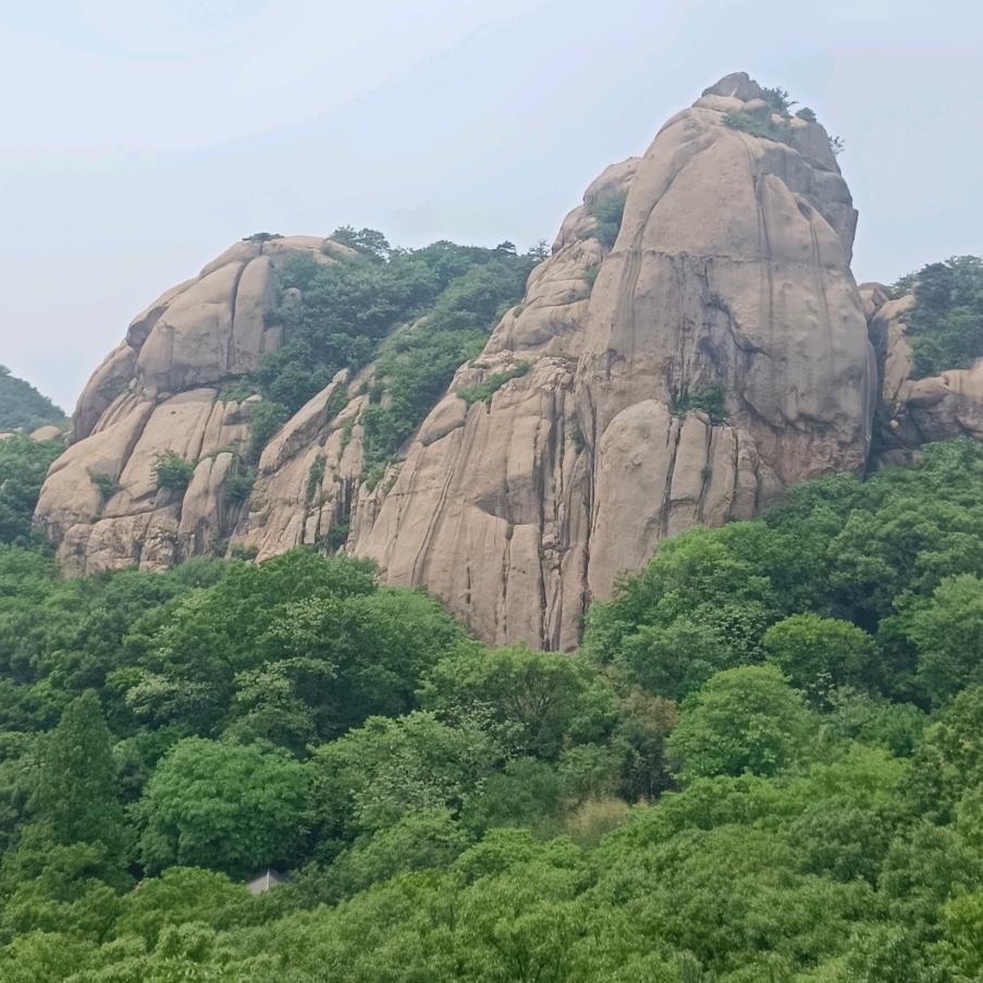 泰山人
