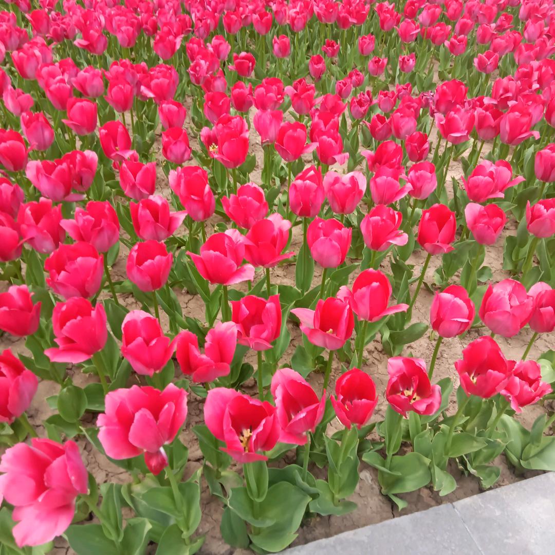 这个是我的号性名叫康传芝