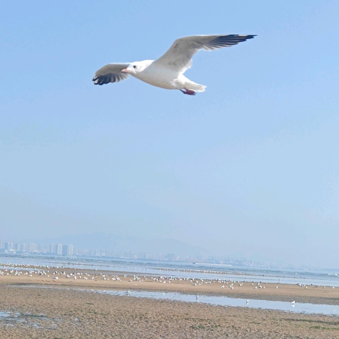 助梦师
