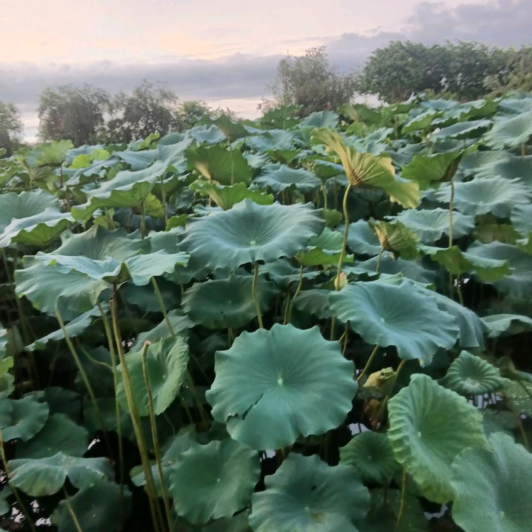 健康是福