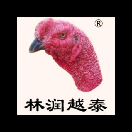 林润越泰