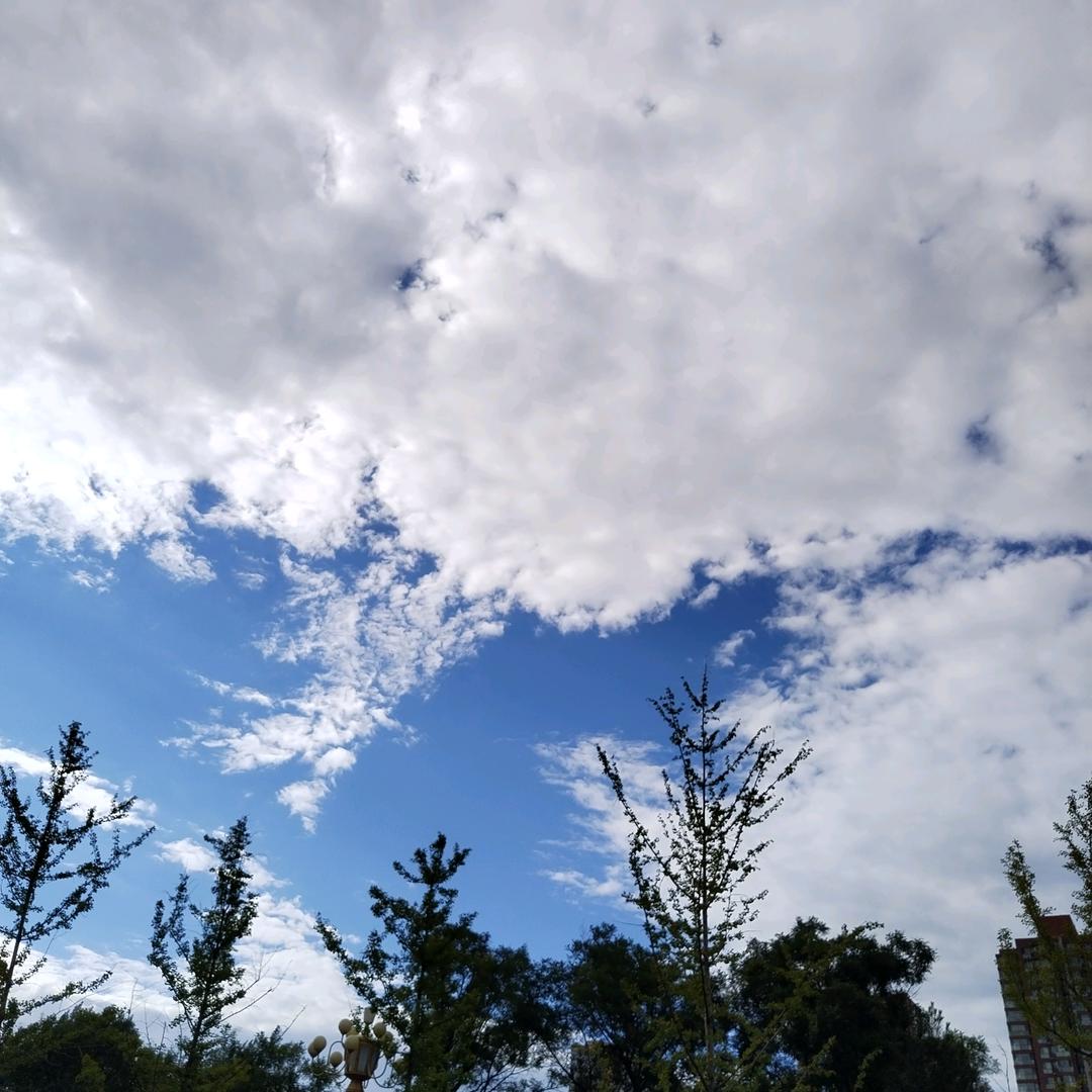 知否