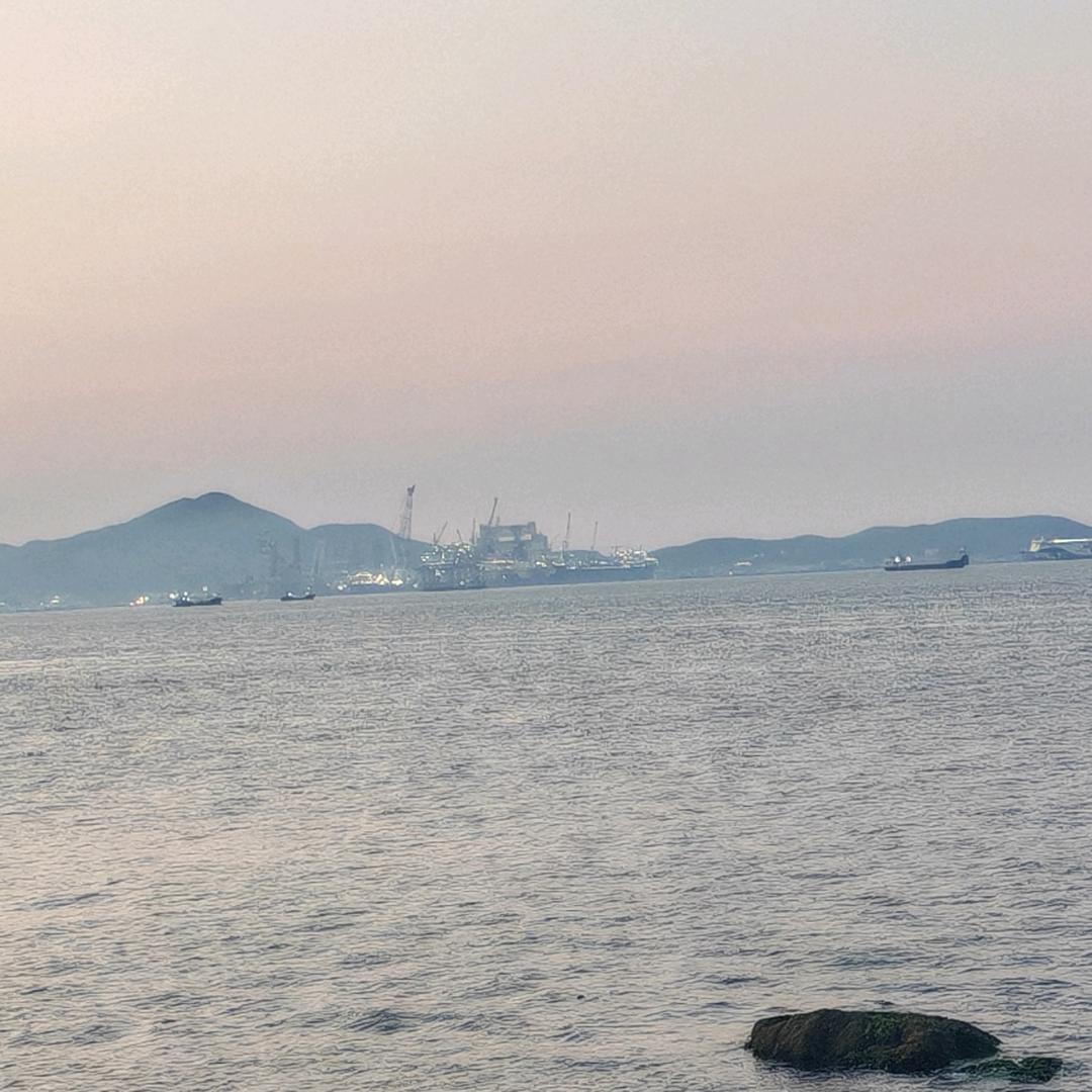 豆