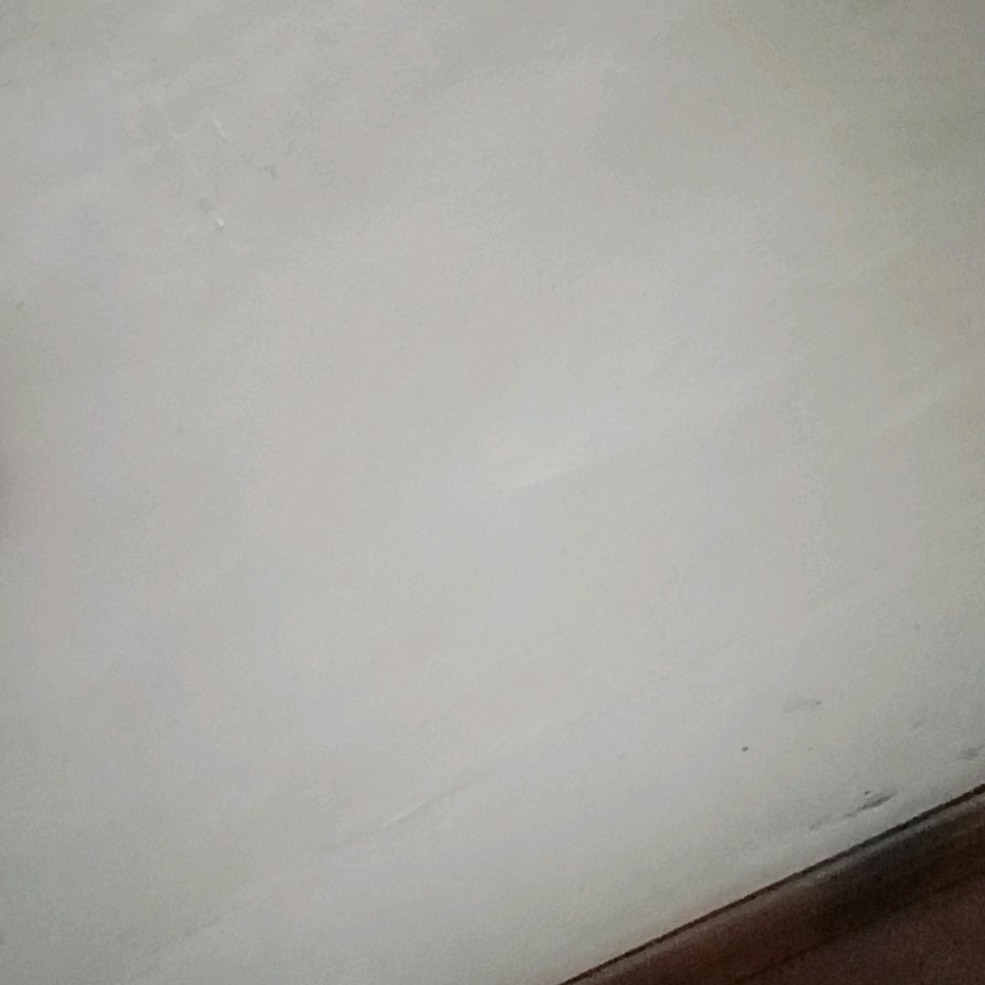 文文短剧