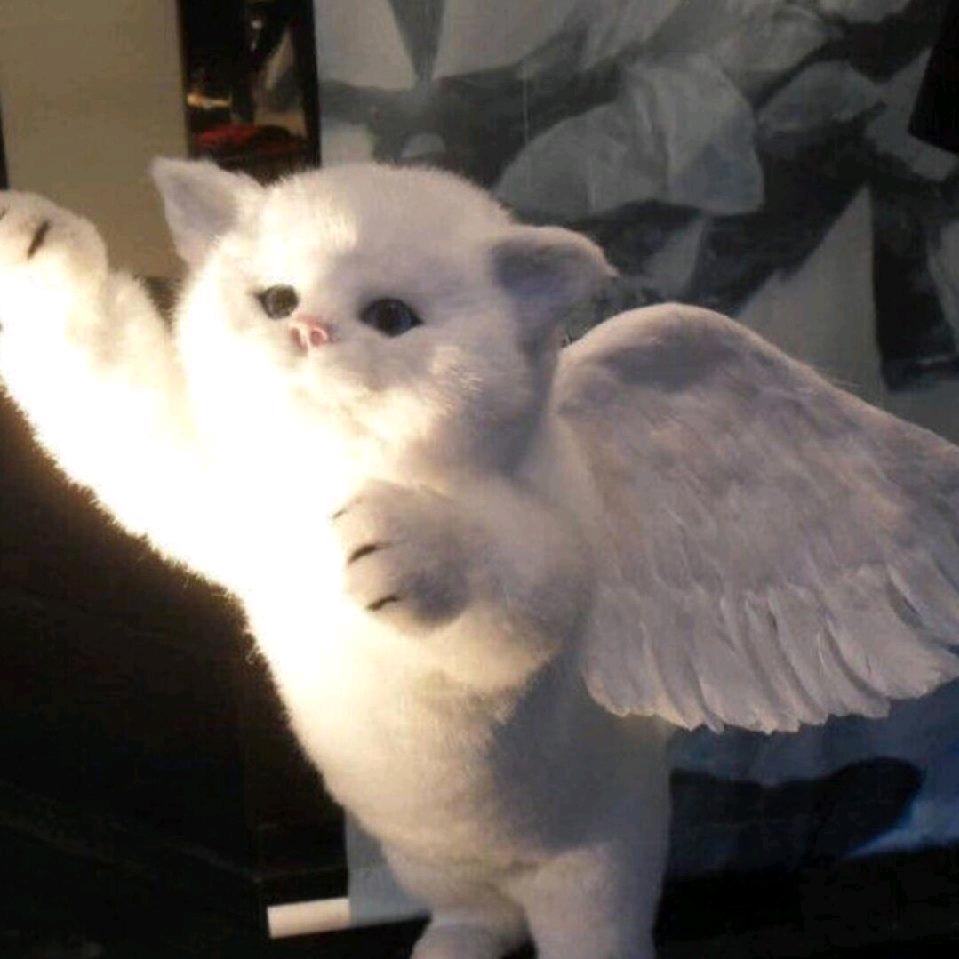 涵