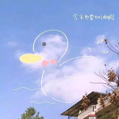 落叶无声