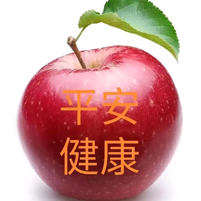 安康