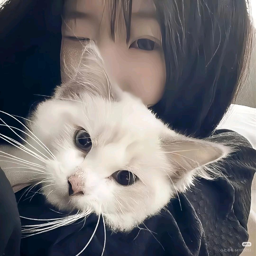 ℒᎭℯ⃝傻💞丫头࿐༗（封封封）