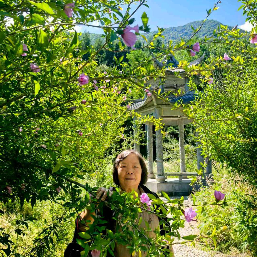 映山红四姐