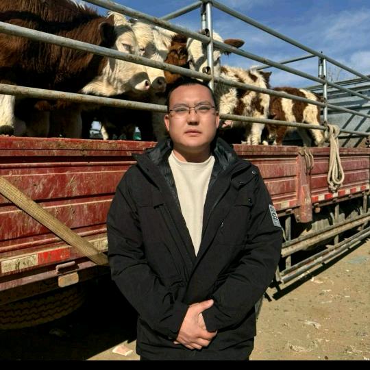 张北牛市老闫～（小号）