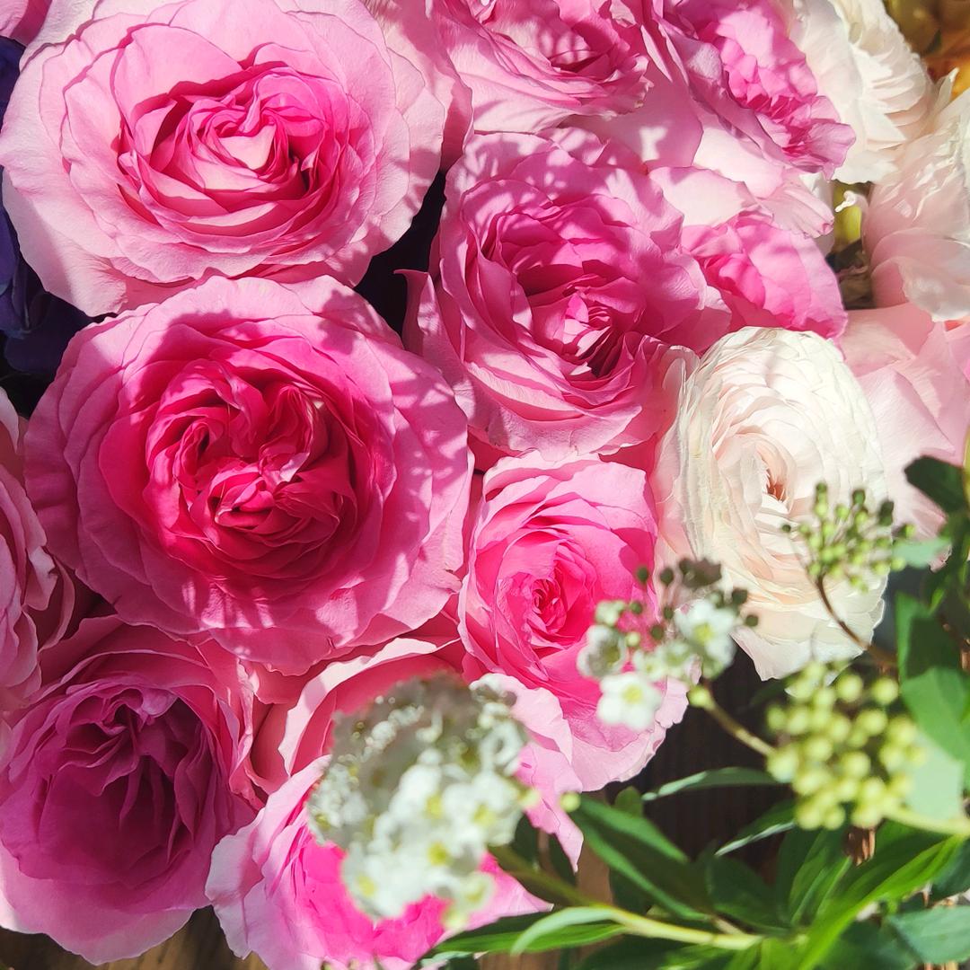 邂逅初恋的甜蜜