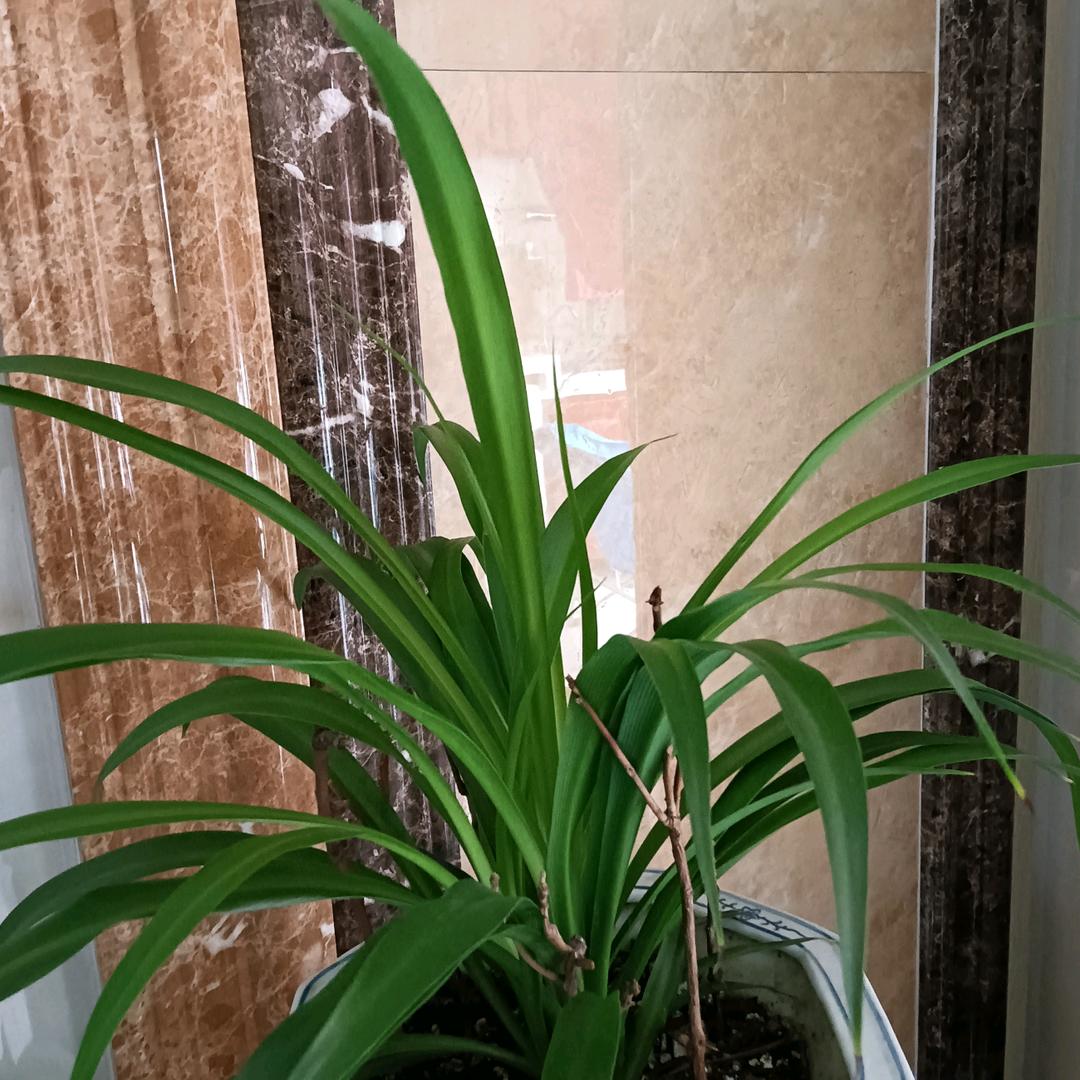 用户5752911064355月