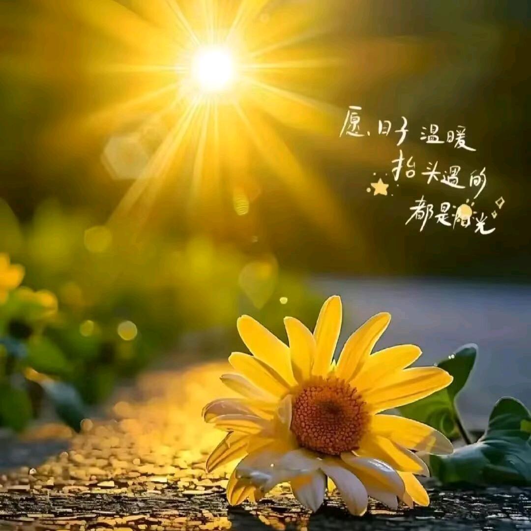 এ᭄ꦿ꯭ꫛএ小月