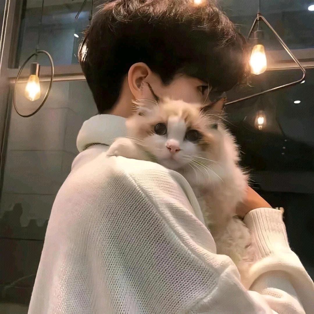 乌托邦的猫
