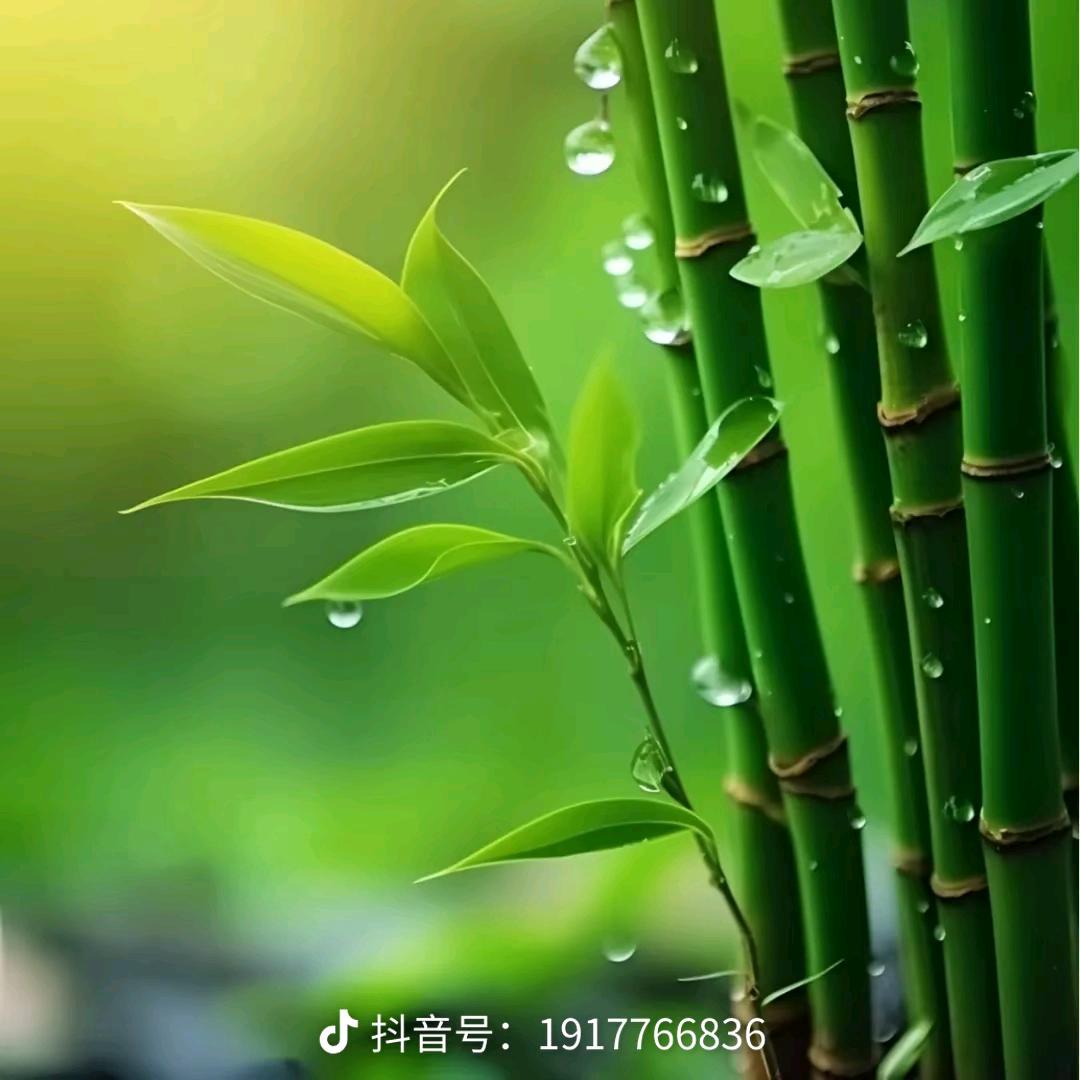 小丽生活