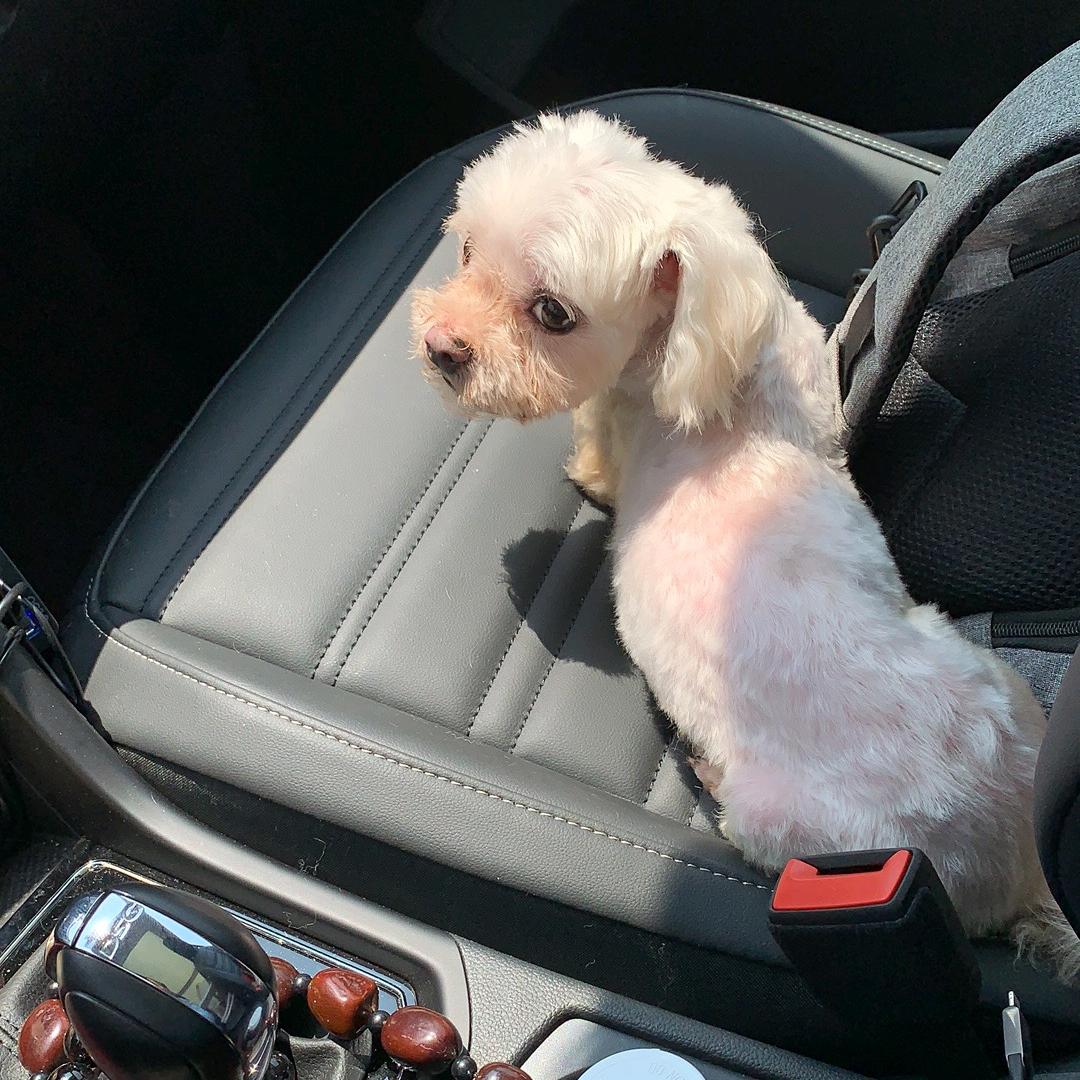 🌈小伙伴的生活