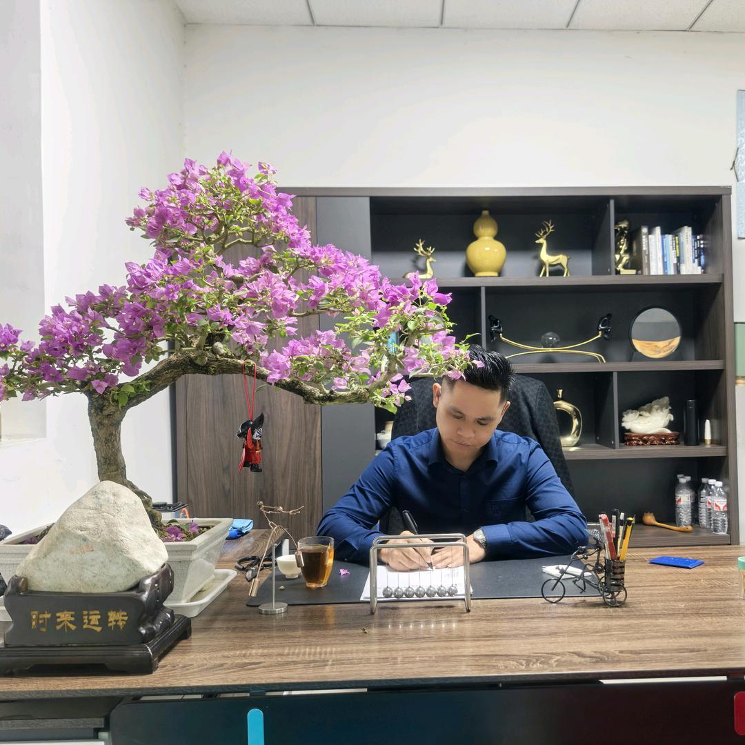 伟昌/智诚卓越钢化玻璃厂家