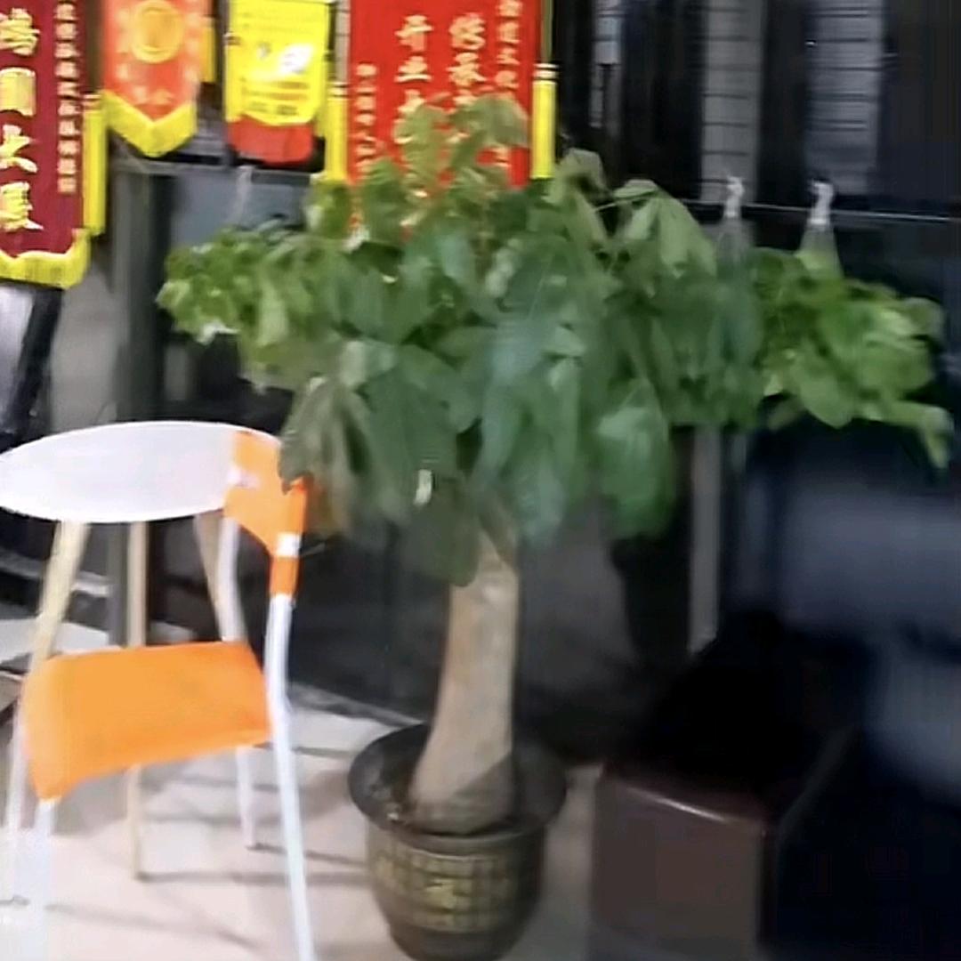余生两🙅负
