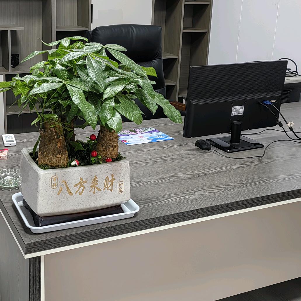 静心看海