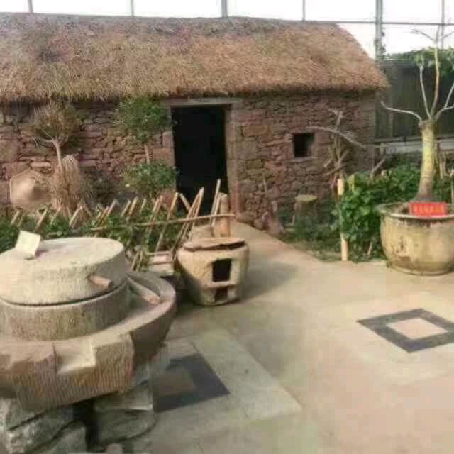 雷哥
