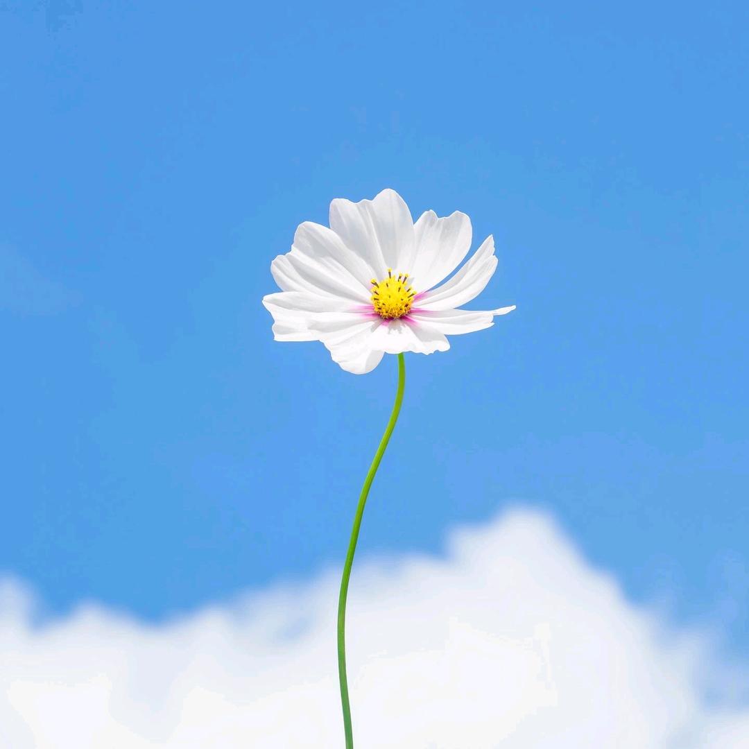 绿意盎然