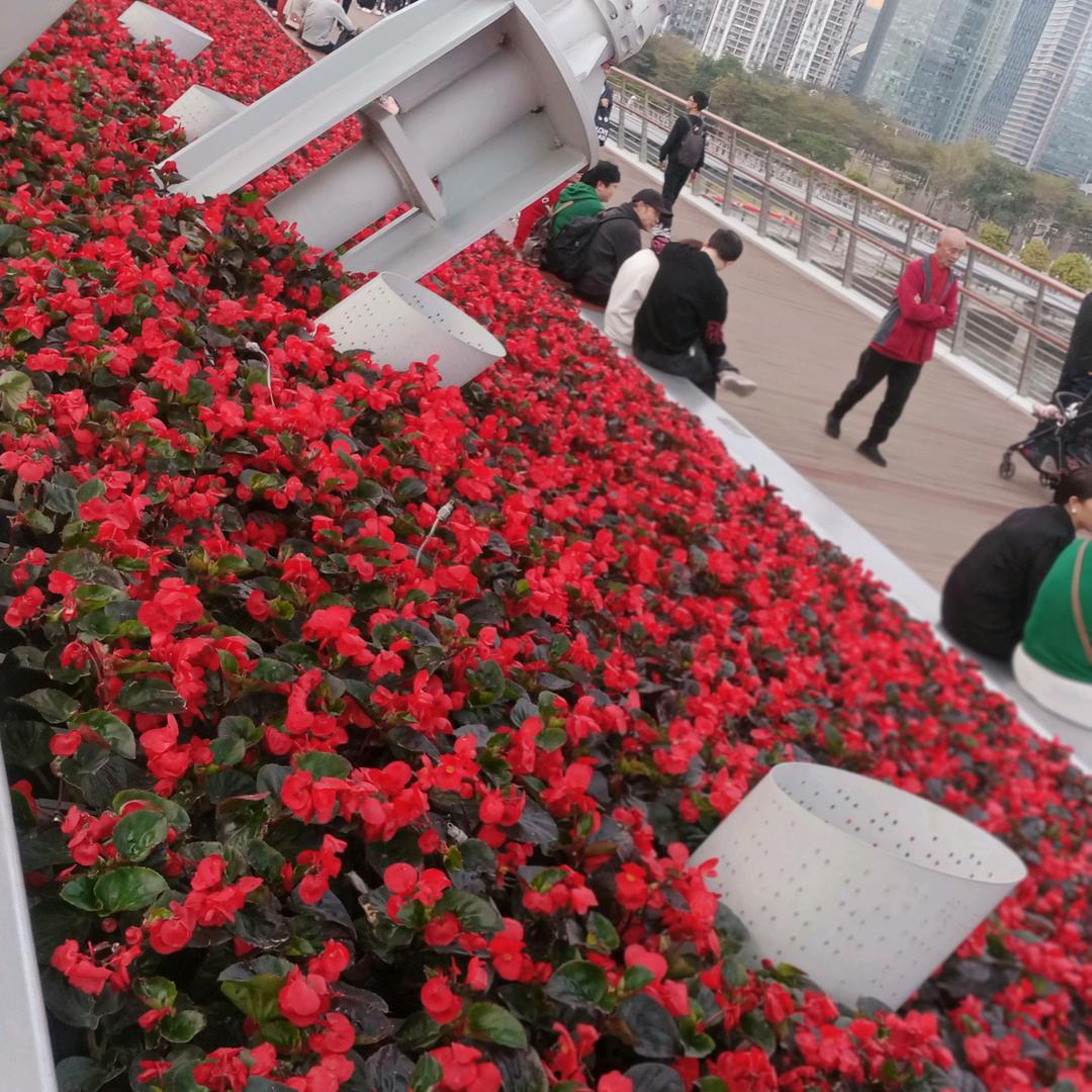 我的眼泪