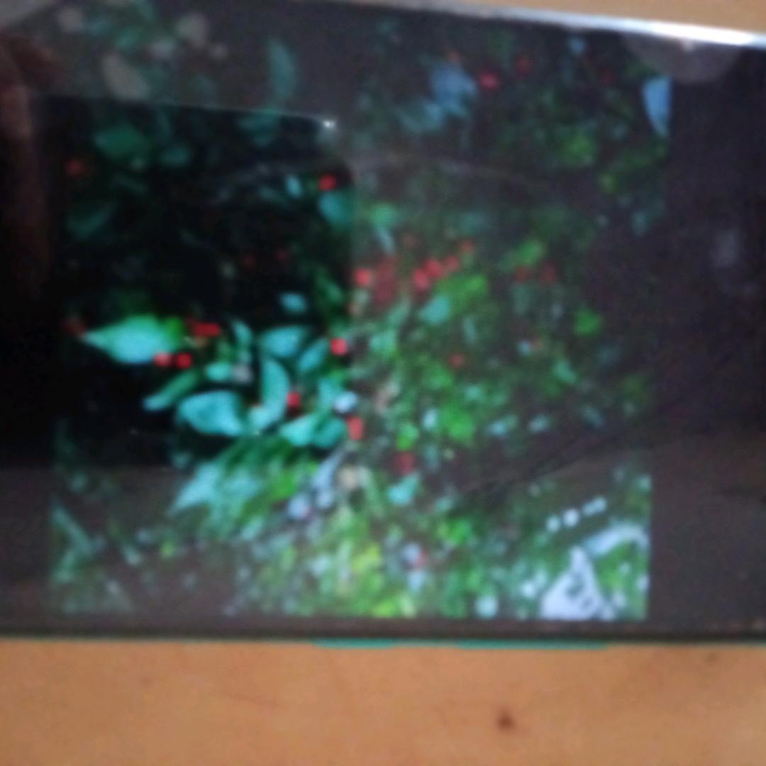 但愿人长久千里共婵娟。