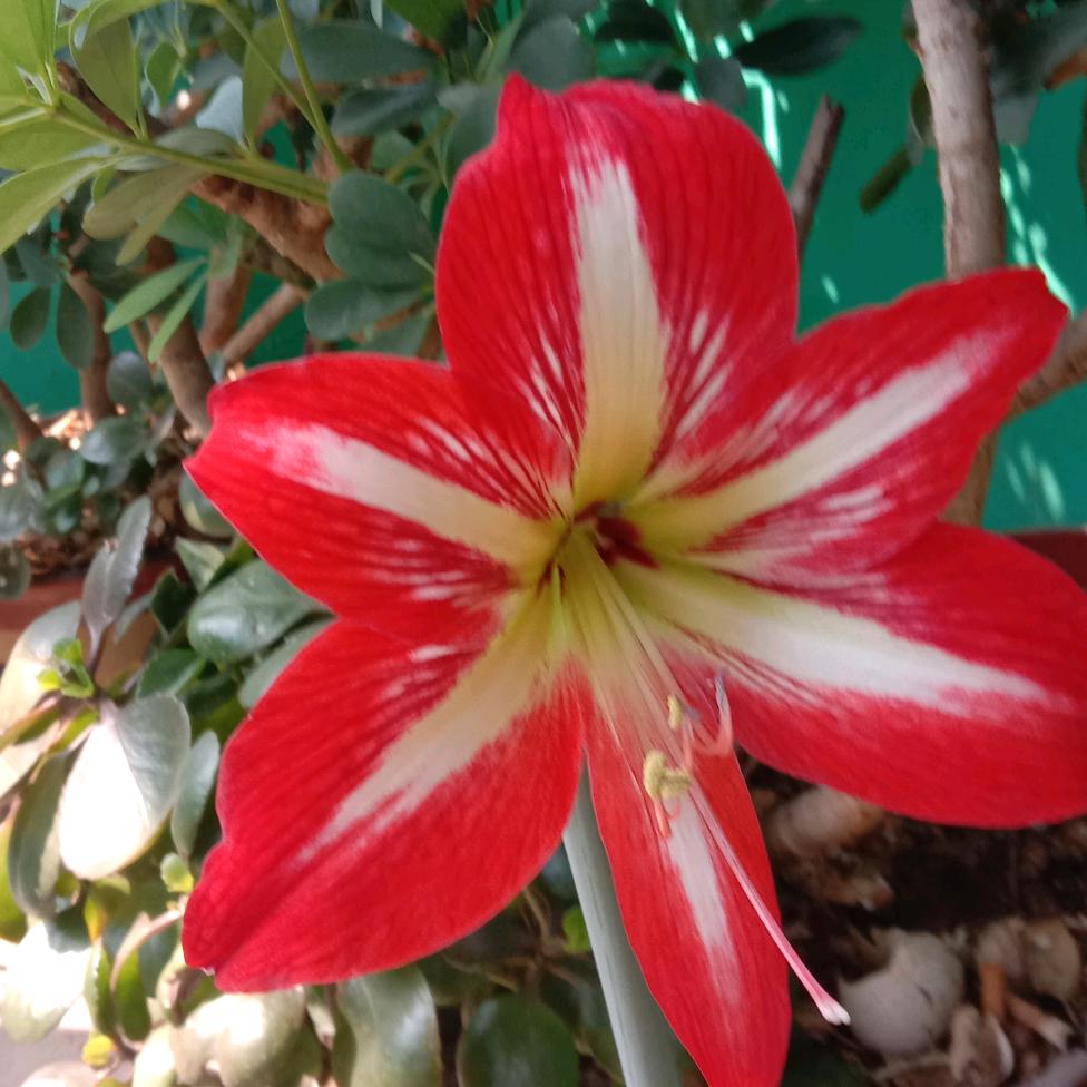 人生很短暂，珍惜你爱的人。