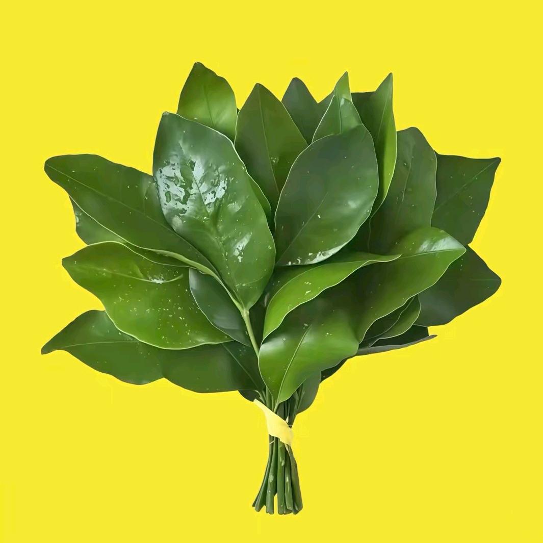 🥇苏先生¹³¹⁴¹⁹🕌