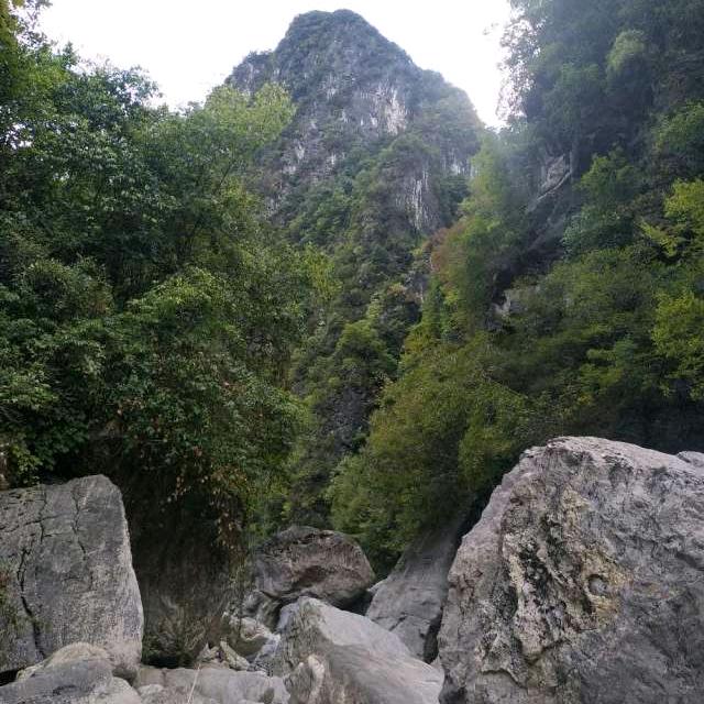 南佩九珠