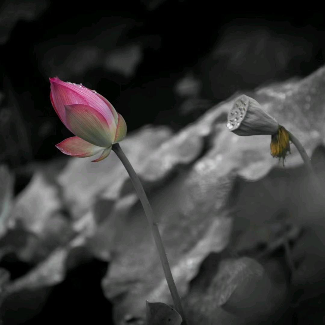 把开心挂在脸上