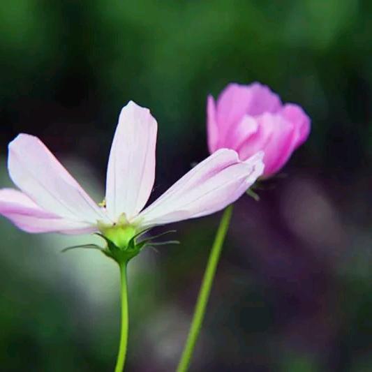 实用好物优选购