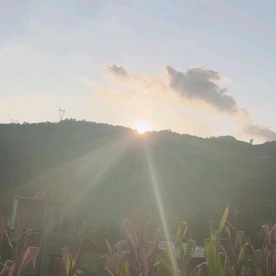 和顺