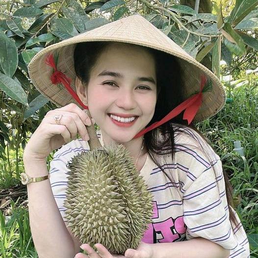 倪晓红