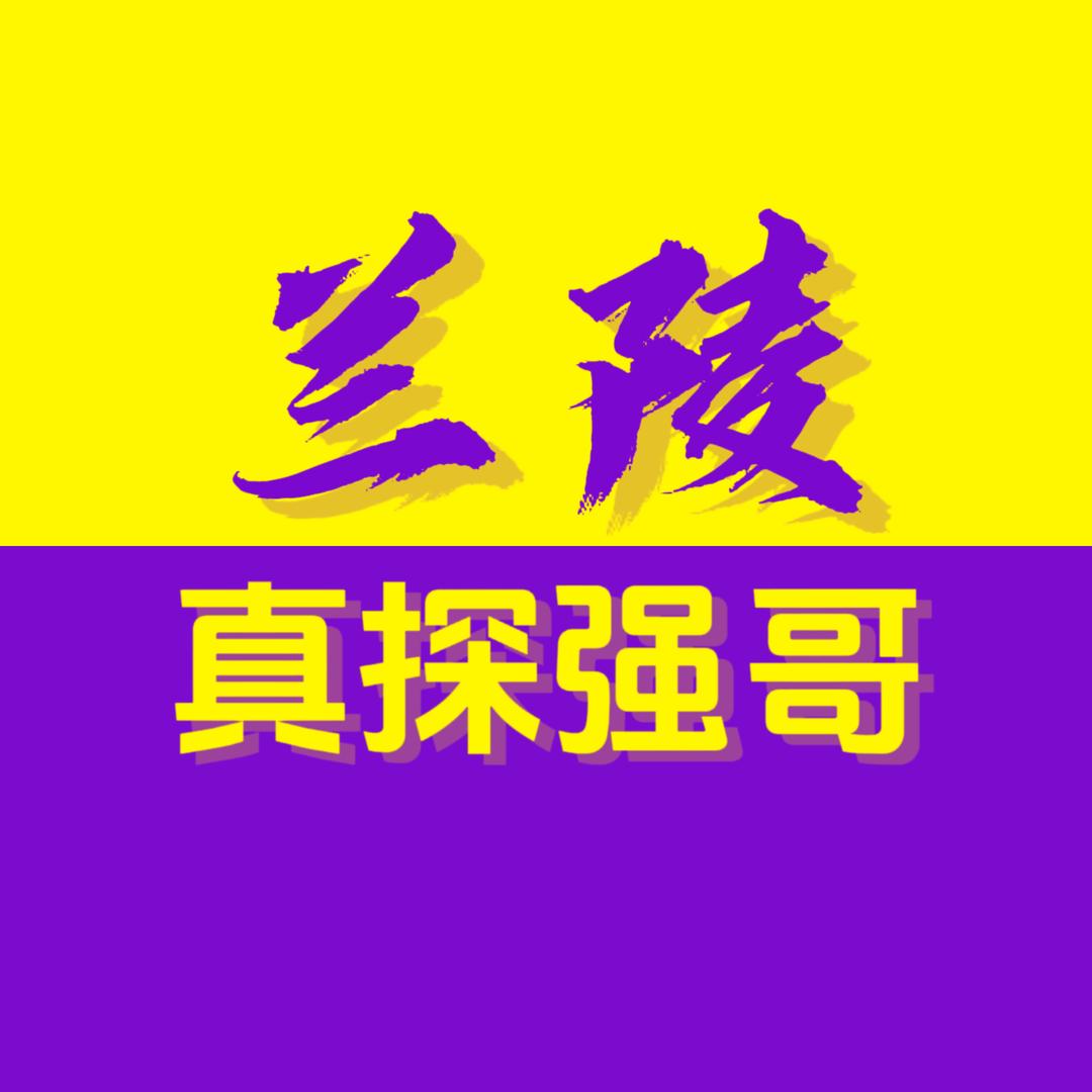 真探强哥