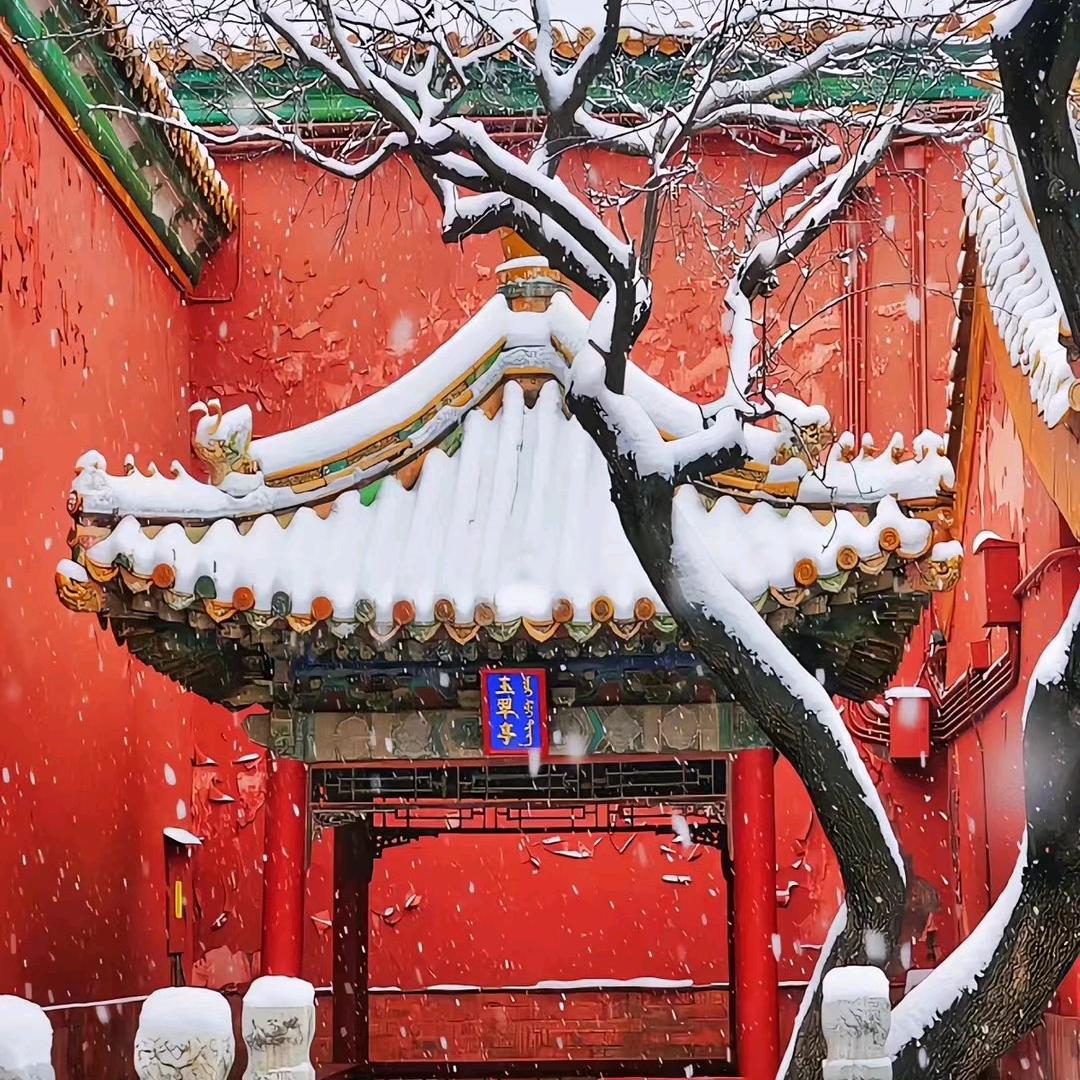 匠心筑梦