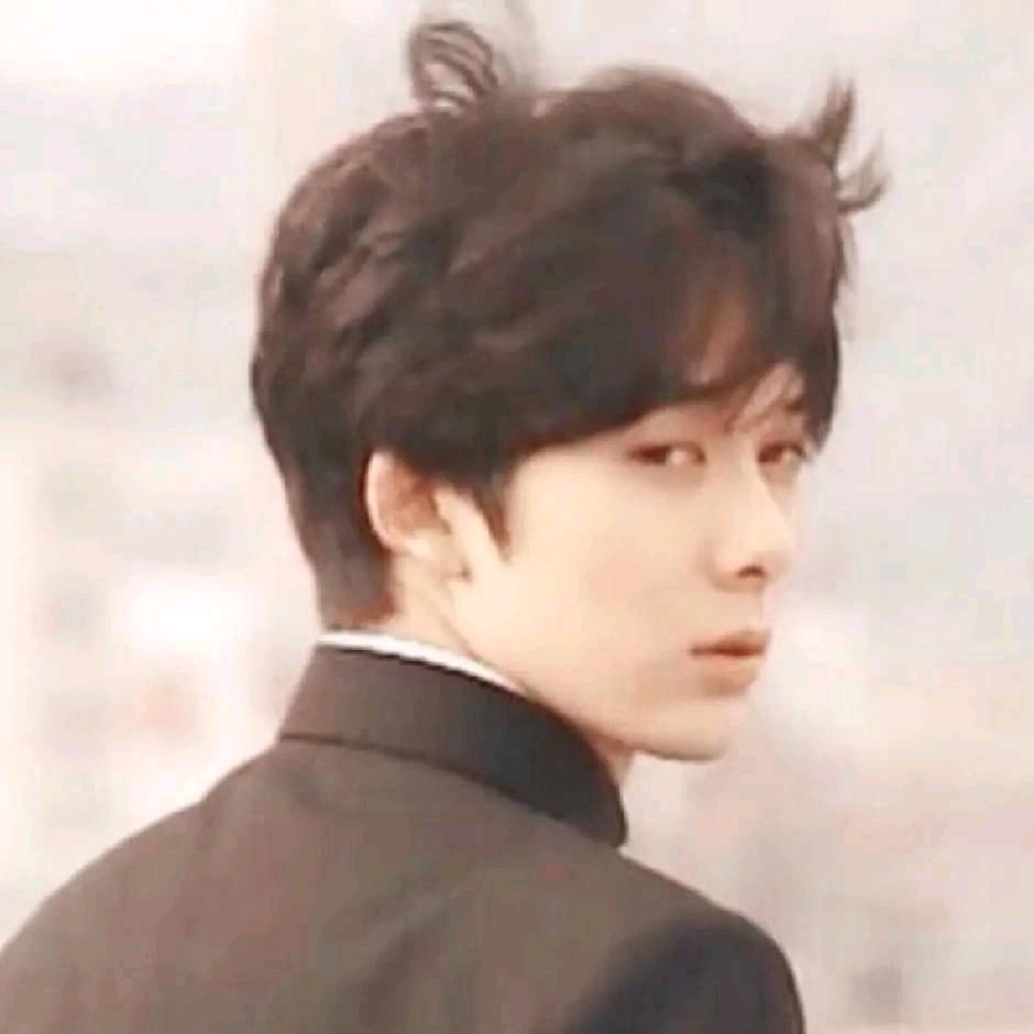 我的郁金香小姐