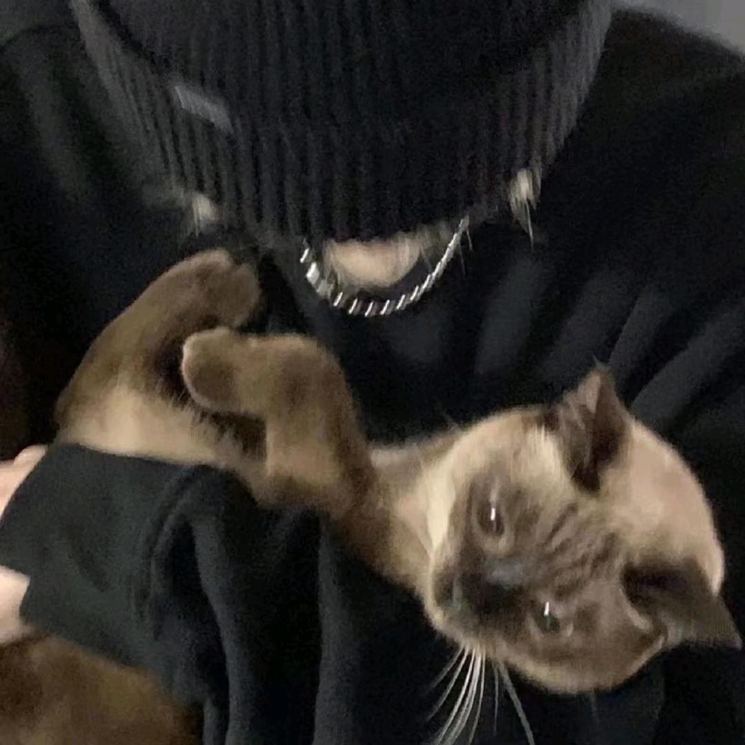 平安ㅤ