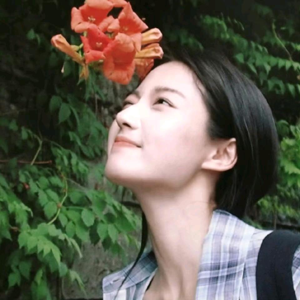Day day up