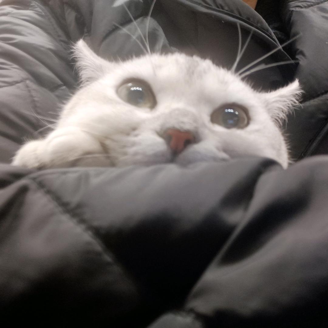 朝朝暮暮: