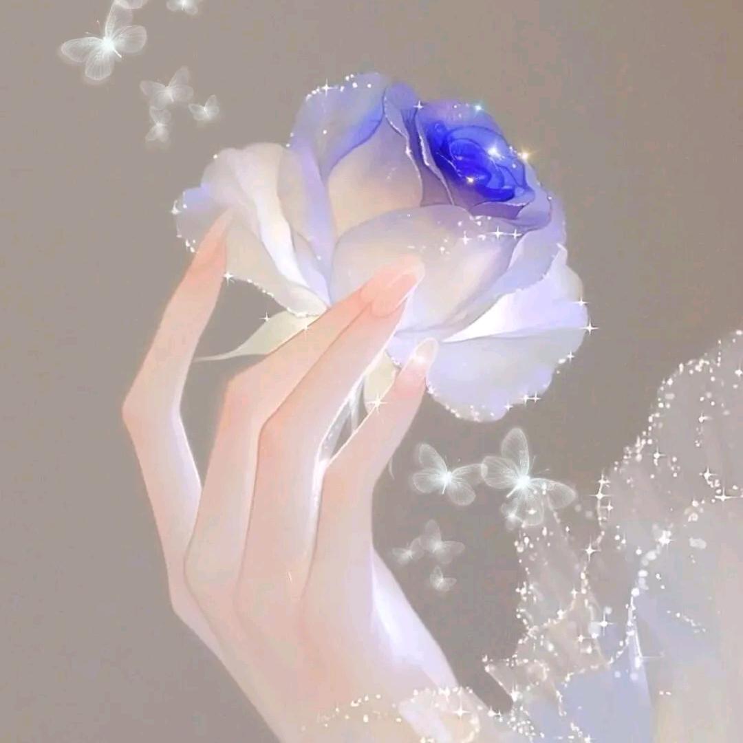 ᰔᩚ溫不熱❧的心ᬐ