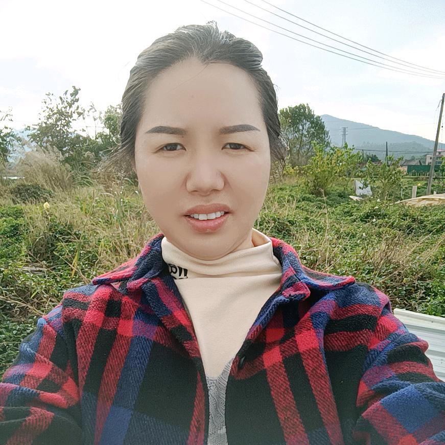 小树苗（13:35）